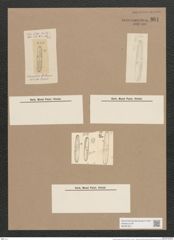 Navicula icostauron (Ehr.?) (de-Toni-Nr.: Genus 1, Species 384) Zeichnungen Sammlung Grunow Nr. 861 (NHMW-BOT-W0367307)